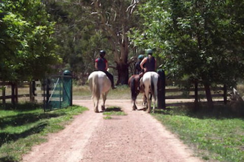 Halls On Falls Homestead - Accommodation Perth 3