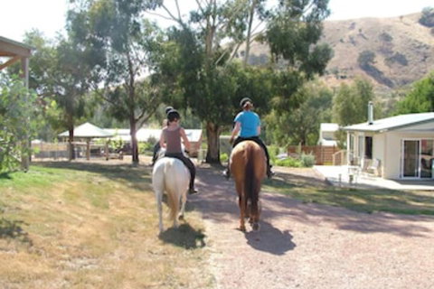 Halls On Falls Homestead - Accommodation Perth 1
