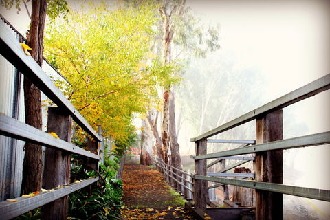 CocknBull Boutique Hotel - Accommodation Perth 3