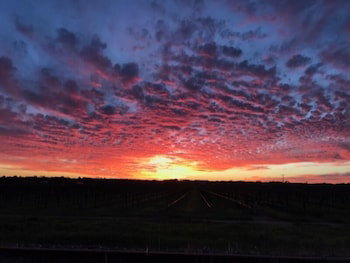 Barossa House - Accommodation Perth 4