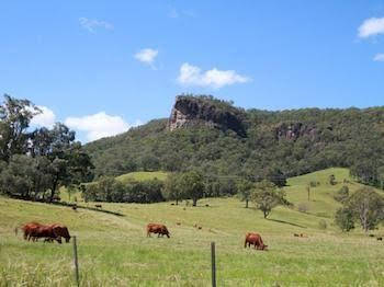 Rosevale House - Accommodation Perth 0