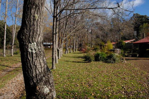 Birdwing Bed & Breakfast Weegena - Perth Resorts 2