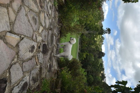 Coverdales B & B At Eumundi - Accommodation Perth 0