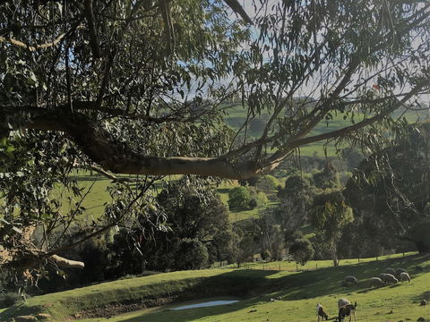 Balingup Highview Chalets - Accommodation Perth 1