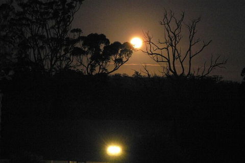 Scarlet Woods Chalets - Accommodation Perth 2