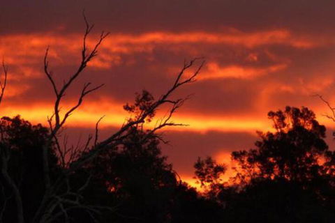Launceston Bed & Breakfast Retreat - Accommodation Perth 7