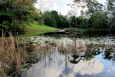 Montville Country Cabins - Accommodation Perth 2