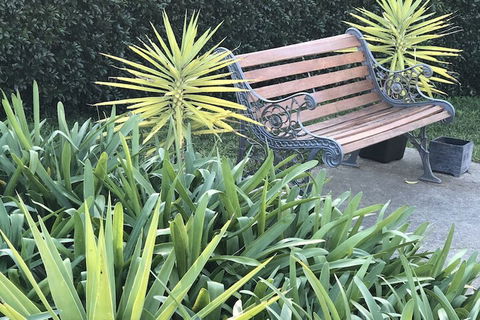 Cardiff Motor Inn - Perth Resorts 3