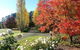 Melview Greens Serviced Apartments - thumb 6