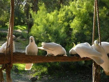 The Burrow At Wombat Bend - Accommodation Perth 0