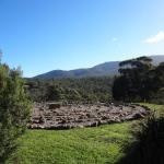 Hawksview At Mafeking - Perth Resorts 0