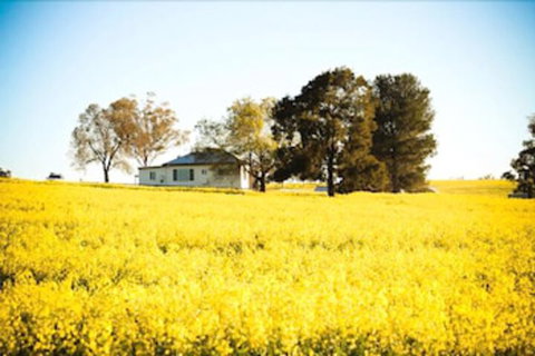 Colenso Country Retreat - Accommodation Perth 4