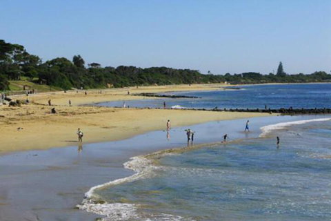 Roseneath Villa B & B - Accommodation Perth 5