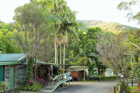 Mt Warning Rainforest Park - Perth Resorts 2