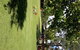 Tuncurry Lakes Resort - thumb 6