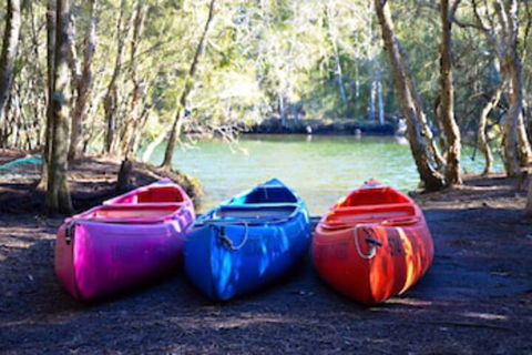 Jervis Bay Cabins & Hidden Creek Campsite - Accommodation Perth 0