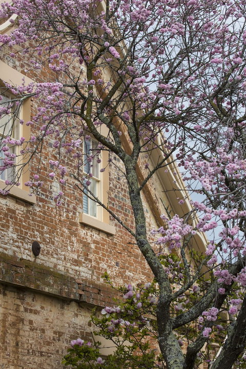 The Racecourse Inn - Perth Resorts 0