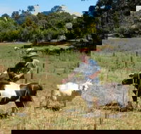 Country Cottages of Bridgetown - Perth Resorts