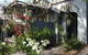 Mews On Frederick - thumb 0