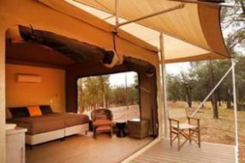 Ikara Safari Camp - Accommodation Perth 4