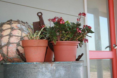 Bremer Bay B & B - Accommodation Perth 2