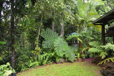 Tropical Bliss Bed & Breakfast - Accommodation Perth 6