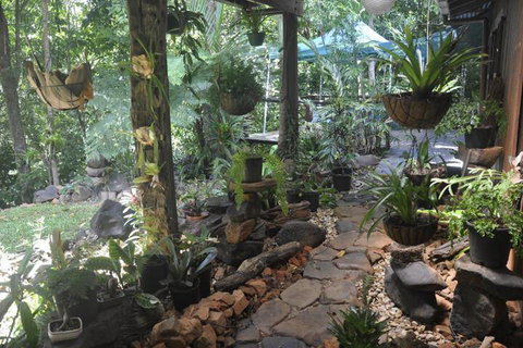 Tropical Bliss Bed & Breakfast - Accommodation Perth 2