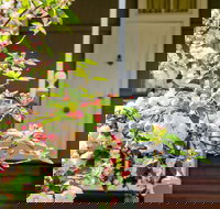 Apple Blossom Cottage - Perth Resorts