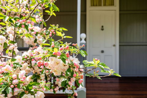 Apple Blossom Cottage - Perth Resorts 0