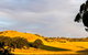 Dairymans Cottage - thumb 6
