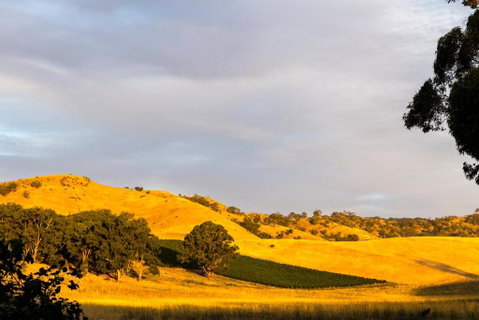 Dairymans Cottage - Accommodation Perth 6