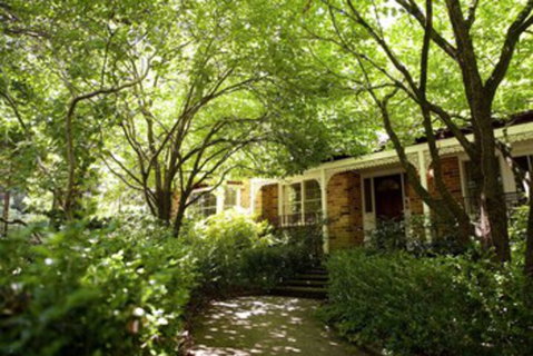 Leura Camellias - Accommodation Perth 0