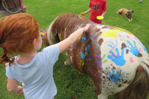 Kings Creek Retreat - Perth Resorts 3