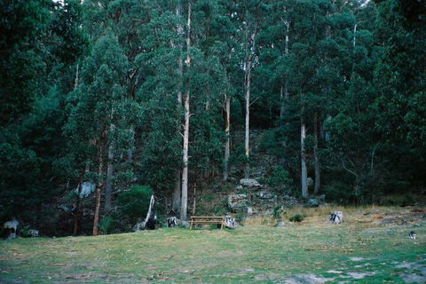 Base Camp Tasmania - Perth Resorts 7