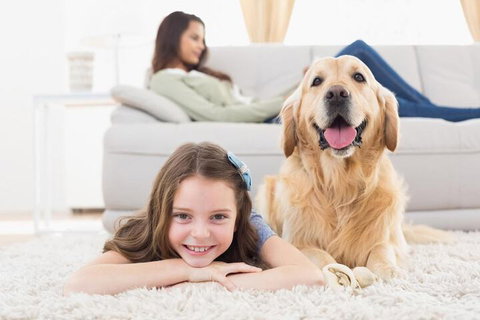 BOUTIQUE STAYS - South Yarra Lane - Accommodation Perth 4