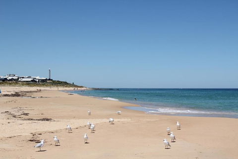 Bluebird Cottage - Accommodation Perth 4