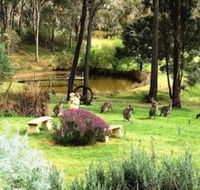 Countryside Connections Tranquil Studio - Accommodation Perth