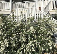 Glen Aplin Gardens BB - Accommodation Perth