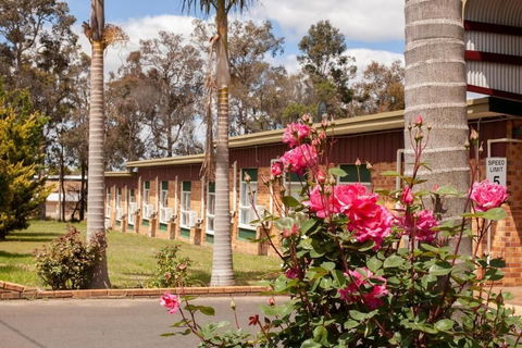 Manjimup Motor Inn - Accommodation Perth 1