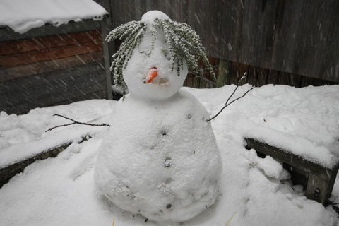 CHILL OUT At THREDBO - Perth Resorts 2