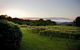 Flame Hill Vineyard - thumb 6