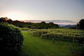 Flame Hill Vineyard - Accommodation Perth 6