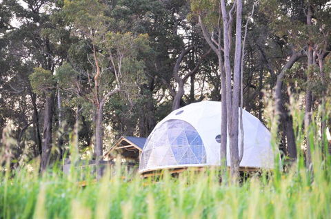 Mile End Glamping Pty Ltd - Perth Resorts 1