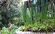 Lemonade Creek Cottages - thumb 0