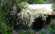 Lemonade Creek Cottages - thumb 4