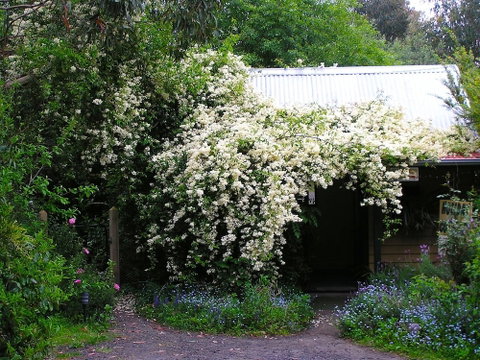 Lemonade Creek Cottages - Accommodation Perth 4