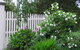 Lemonade Creek Cottages - thumb 2