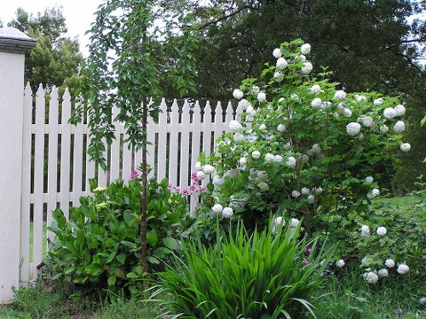 Lemonade Creek Cottages - Accommodation Perth 2