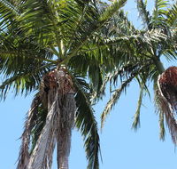 Tri Byron Bay - Accommodation Perth