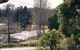 Kananook Heritage House - thumb 1